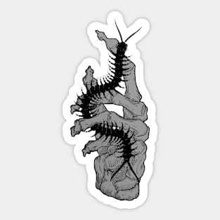 ―scolopendra Sticker